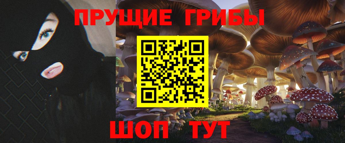 Гагарин  Псилоцибиновые грибы прущие грибы  Псилоцибиновые грибы прущие грибы  Вход с VPN 